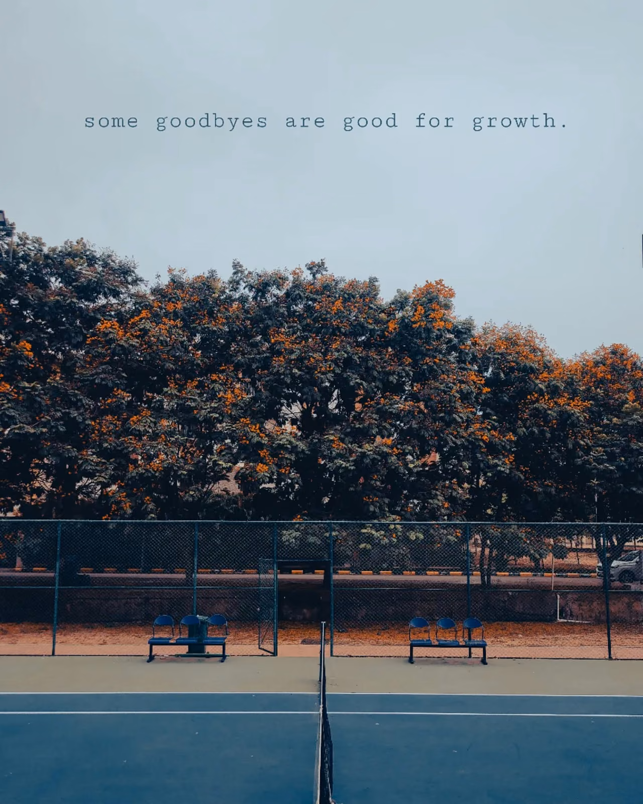 Empty tennis court with net, bordered by a chain-link fence, two blue benches, and trees with orange blossoms under a pale sky with text overlay.