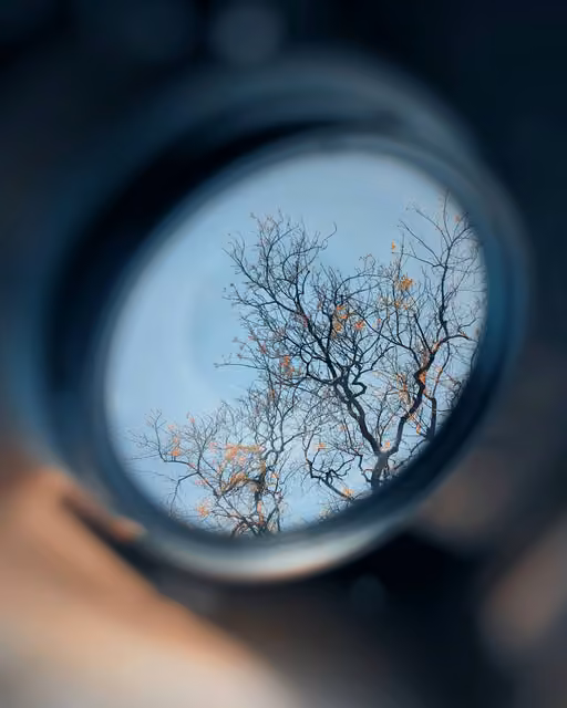 A bare tree with small orange buds against a blue sky, viewed through a round lens or mirror held by a hand.