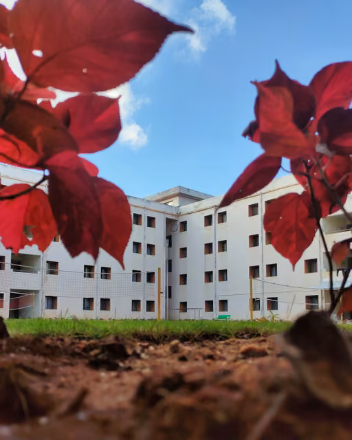 Low-angle view across dirt and grass toward a white multi-storey building with small square windows, framed by blurred red leaves under blue sky.