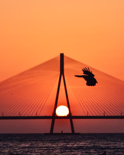 Silhouetted cable-stayed bridge pylon against orange sky, sun setting between its legs, bird flying at right over water